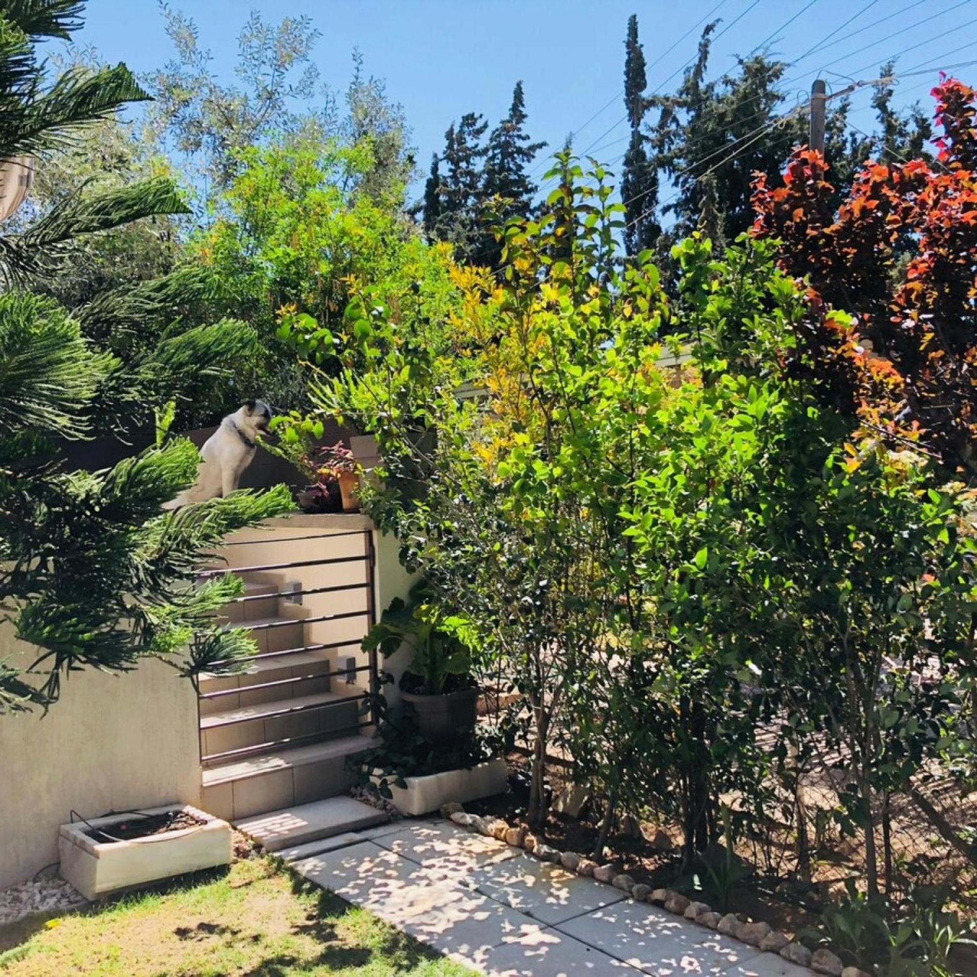 Azure Villa Lagonisi Esterno foto